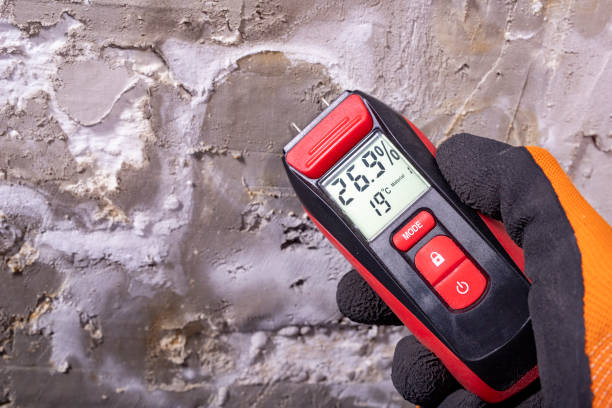 Home Mold Removal in Teviston, CA