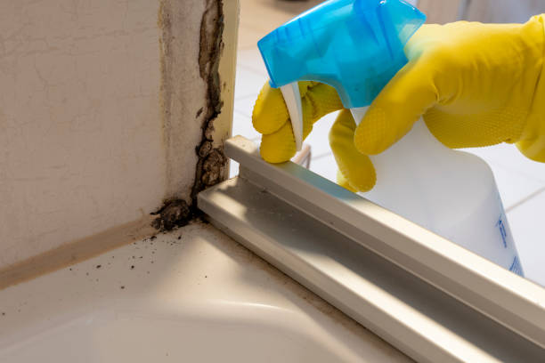 Best Professional Mold Removal  in Teviston, CA