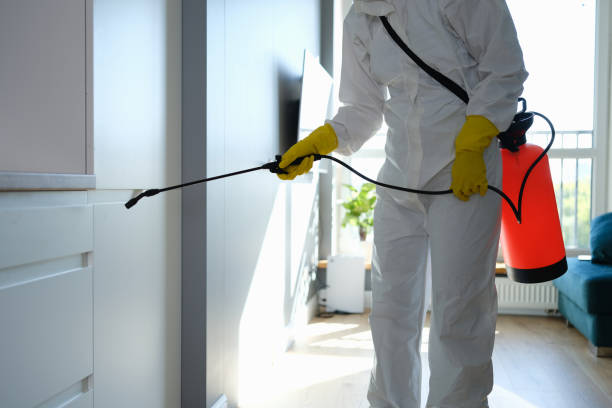 Best Mold Inspection  in Teviston, CA