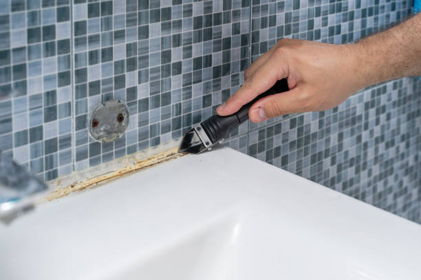 Best Commercial Mold Removal  in Teviston, CA