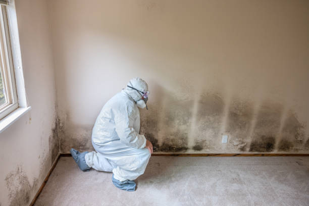 Best Crawl Space Mold Removal  in Teviston, CA