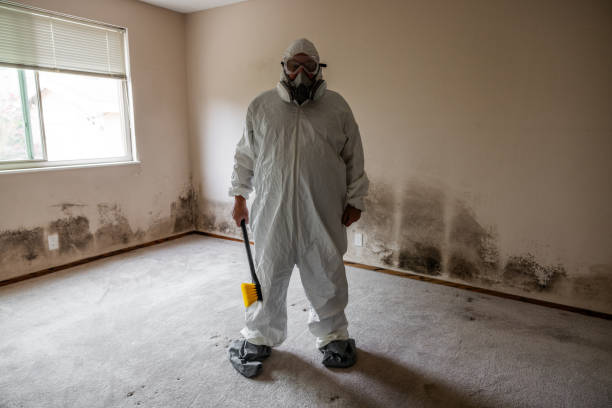 Best Mold Cleaning Services  in Teviston, CA