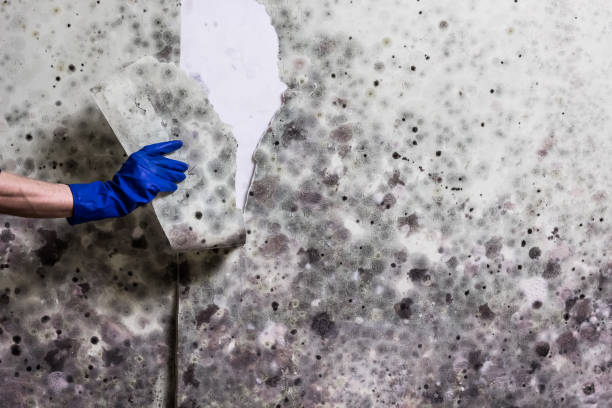 Water Damage Restoration in Teviston, CA